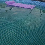 Casa *