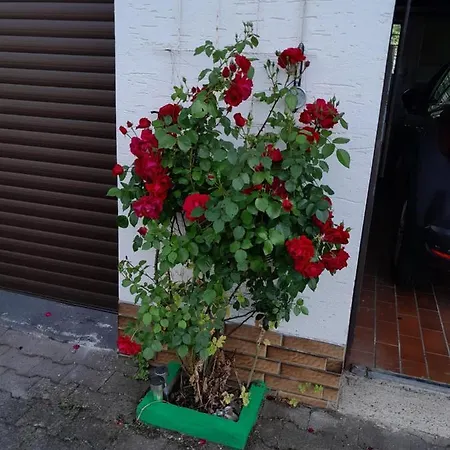Διαμέρισμα Casa *